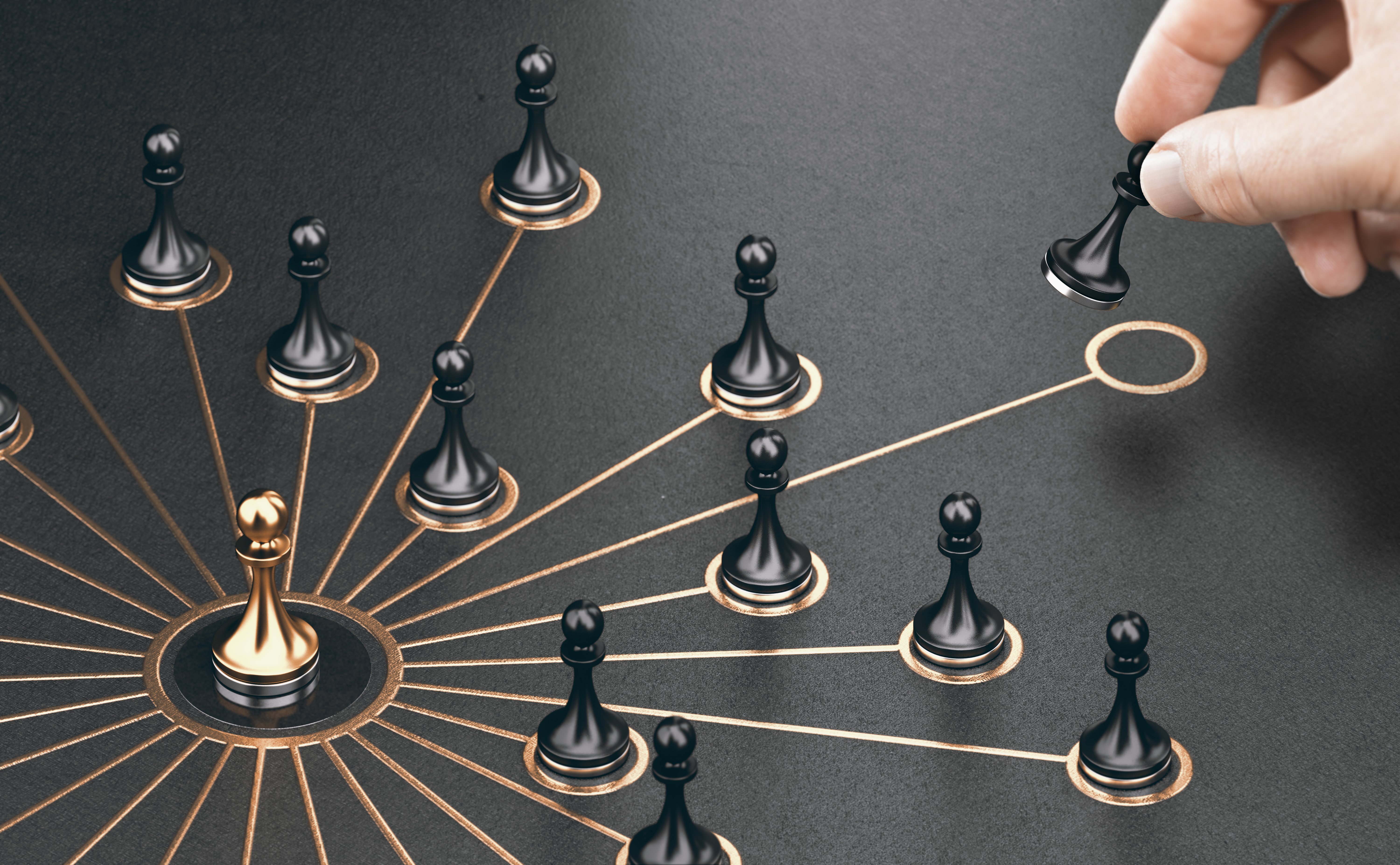 Stakeholder & Delivery